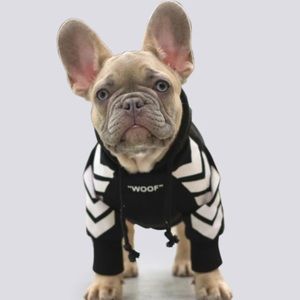 🐶 little dog hoodie - ‘off white’ style